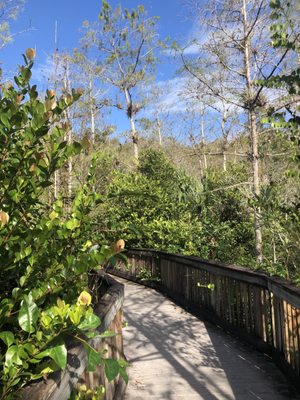 Kirby Storter Roadside Park by null