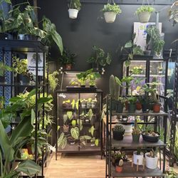 Grow City Depot