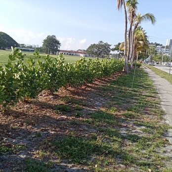 Hollywood Beach Golf Resort - The mayor. jlevy@hollywoodfl.org. Is going to GET SOMEONE KILLED BECAUSE no safety fencing - Golf Near Me - Hollywood, Florida Hollywood Beach Golf Resort - The mayor. jlevy@hollywoodfl.org. Is going to GET SOMEONE KILLED BECAUSE no safety fencing - Golf Near Me - Hollywood, Florida