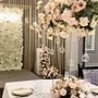 Beautiful Dream Parties