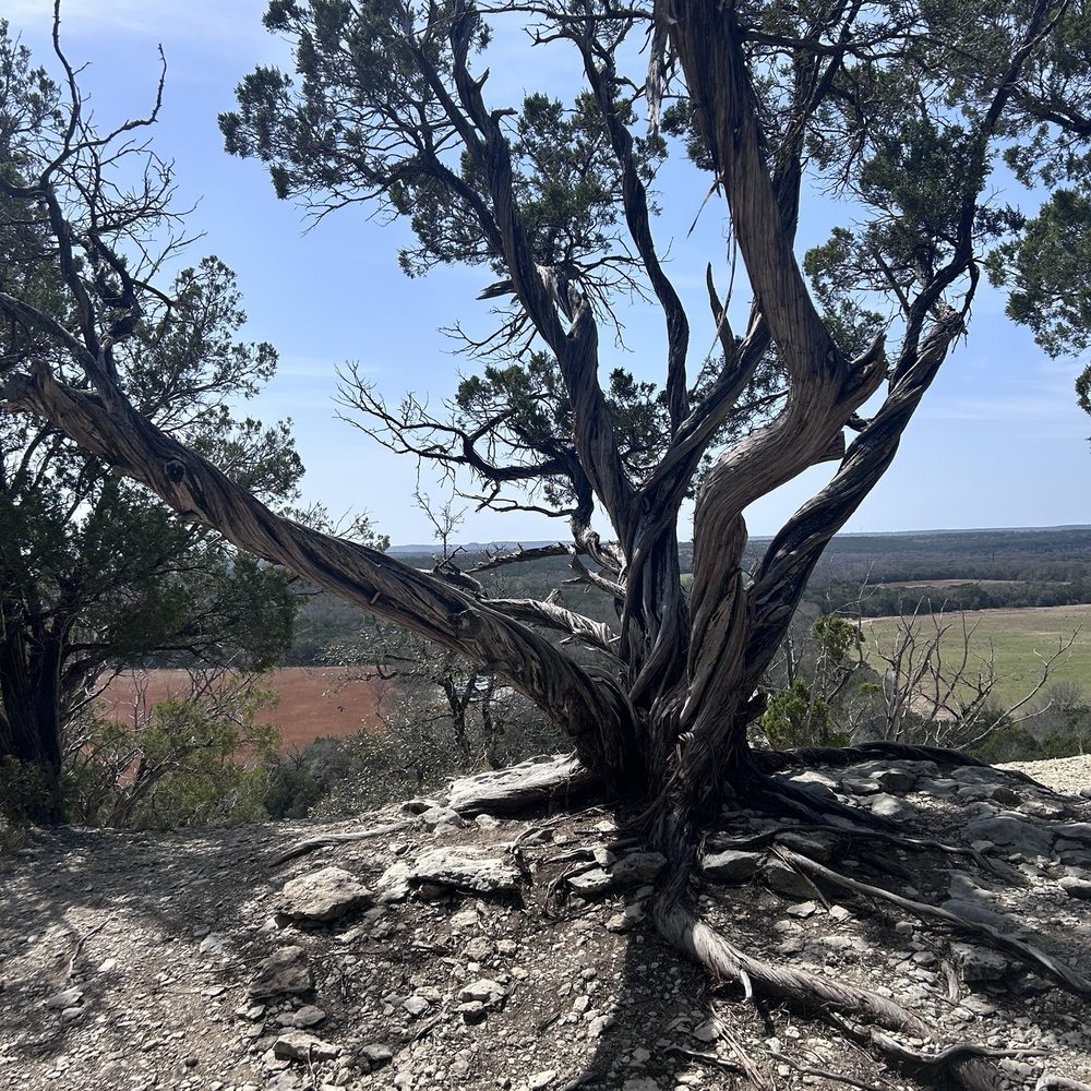 Dinosaur Valley State Park - Parks Near Me - Glen Rose, Texas