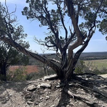 Dinosaur Valley State Park - Parks Near Me - Glen Rose, Texas Dinosaur Valley State Park - Parks Near Me - Glen Rose, Texas