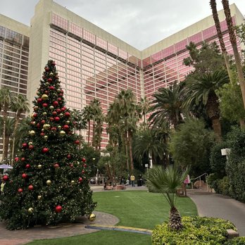 Flamingo Las Vegas - Hotels Near Me - Las Vegas, Nevada