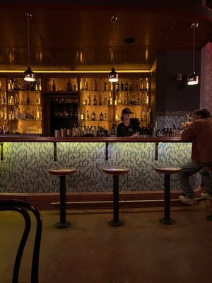 The Good Lion by null