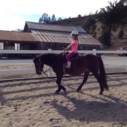 AR Riding and Training