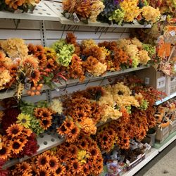Dollar Tree