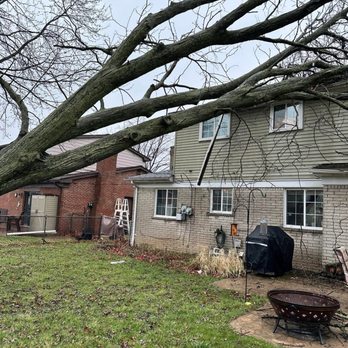 Active Tree Experts - Tree Services Near Me - Richmond, Michigan Active Tree Experts - Tree Services Near Me - Richmond, Michigan