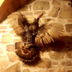 Claycomb Chalets - Luna Chalet Decor