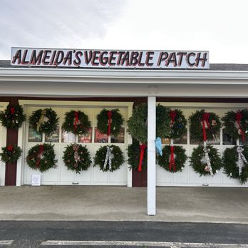 Almeida's Vegetable Patch - Fruits & Veggies Near Me - Swansea, Massachusetts Almeida's Vegetable Patch - Fruits & Veggies Near Me - Swansea, Massachusetts