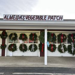 Almeida's Vegetable Patch