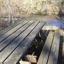 Allen Creek Nature Preserve - Picnic table next to creek