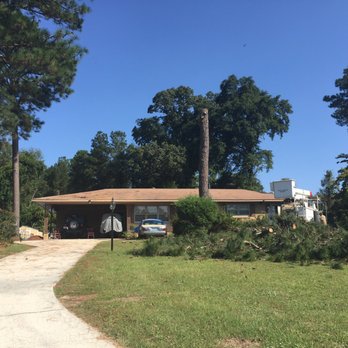 Flowers Tree Service - Tree #1 with 3 more to the left. - Tree Services Near Me - Florence, South Carolina