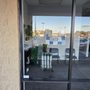 Photo of Maikel Window wash cleaners