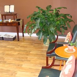Cafe of Life Chiropractic