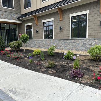 DMP - Landscape Architects or Designers Near Me DMP - Landscape Architects or Designers Near Me