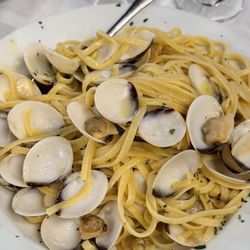 Bosfa Italian Restaurant - Linguine Alle Vongole
