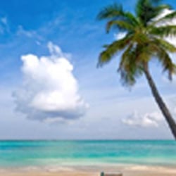 Caribbean Charter Flights - Caribbean Charter Flights