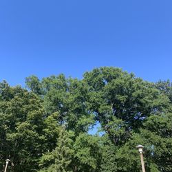 Woodside Urban Park