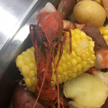 Homestead Cafe - Seafood buffet every Friday night! - American Near Me - Spruce Pine, Alabama