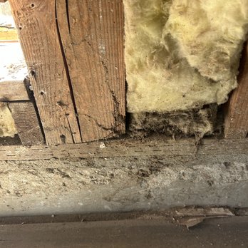 Trademark Exterminators - Pest Control Near Me Trademark Exterminators - Pest Control Near Me