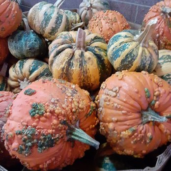 Trader Joe's - Pumpkins - Grocery Near Me - Denver, Colorado