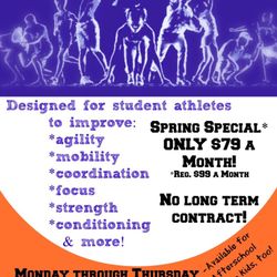 Revolution Martial Arts and Performance Fitness - New Sports Performance Program!