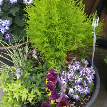 Amsterdam Garden Centre - Nurseries & Gardening Near Me - Pitt Meadows, British Columbia