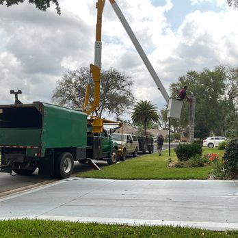 Chainsaw Chimps - Tree Services Near Me