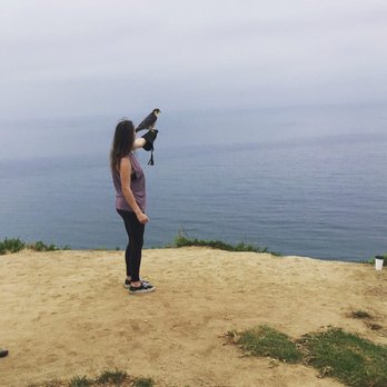 Total Raptor eXperience - Beautiful bird & beautiful view - Specialty Schools Near Me - La Jolla, California
