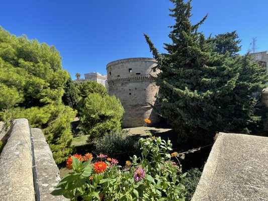 Castello Aragonese by null