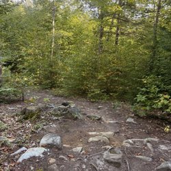 Pride Preserve