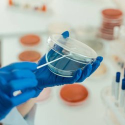 Thrivepoint Medical Labs