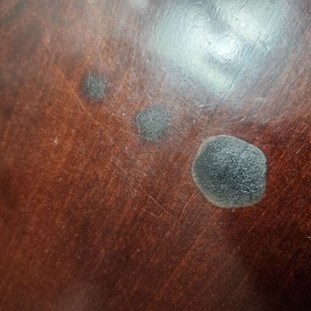 Emerald Dolphin Inn & Mini Golf - Someone burnt this night stand, in a no smoking room, looks like a glass pipe of some kind, maybe a crack pipe - Hotels Near Me - Fort Bragg, California
