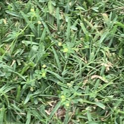 TURNER PEST CONTROL - 56 Photos & 130 Reviews - 8400 Baymeadows Way