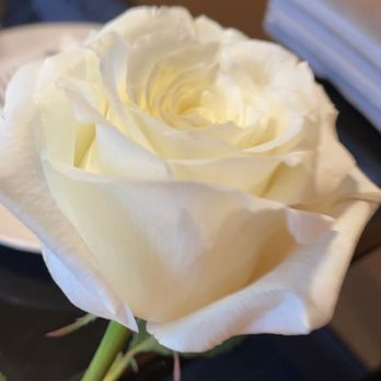 Salina’s Mexican Restaurant - a person holding a white rose - Mexican Near Me - Wilmington, Delaware Salina’s Mexican Restaurant - a person holding a white rose - Mexican Near Me - Wilmington, Delaware