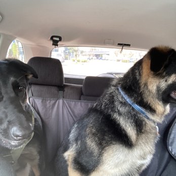 PetSmart - Pet Stores Near Me - Issaquah, Washington