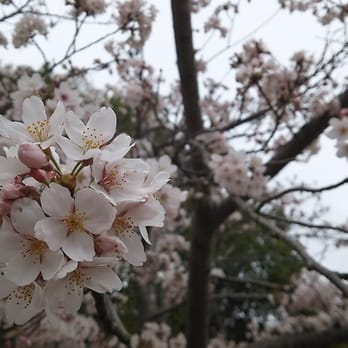日岡山公園 Parks 加古川町大野1625 加古川市 兵庫県 Japan