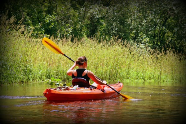 Happy Paddler Kayak Tours & EcoVentures by null