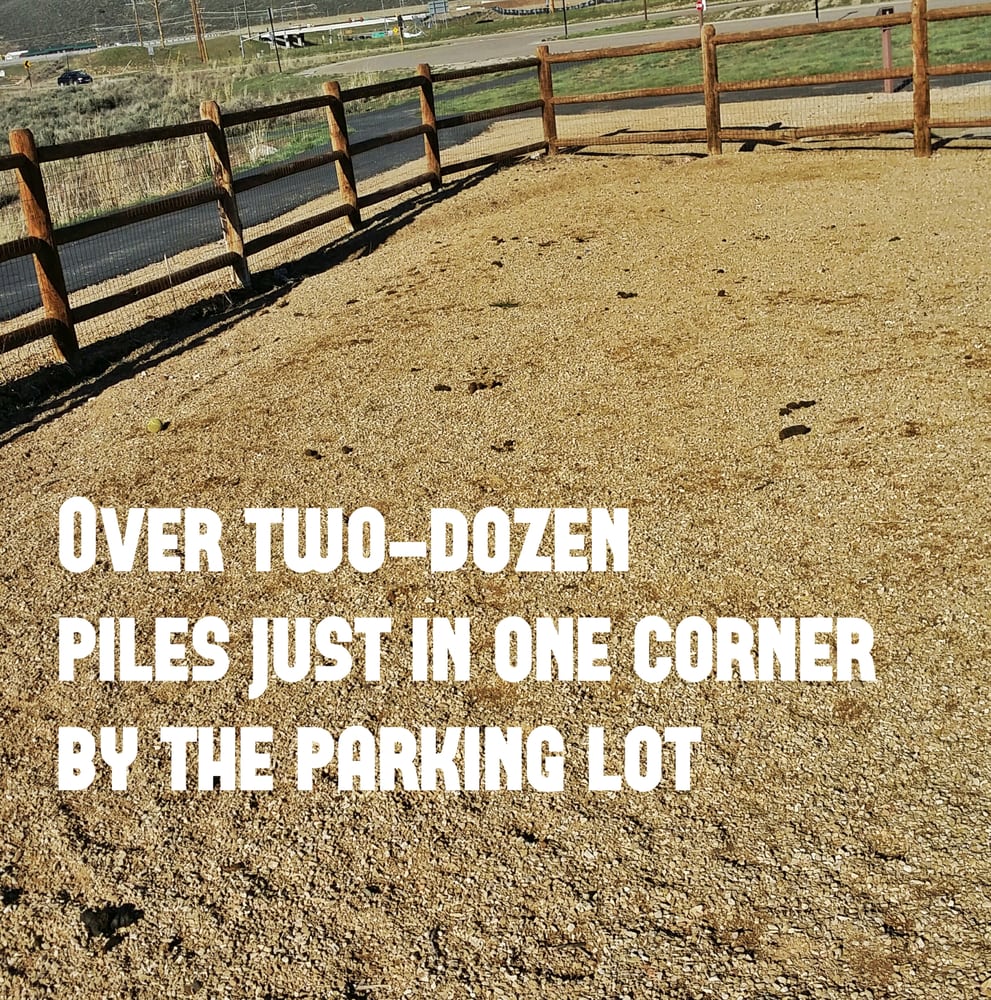 Park City Dog Park at the Recreation Complex