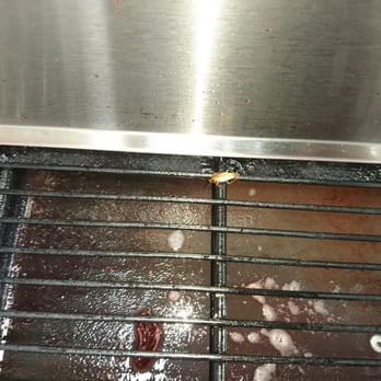 7-Eleven - Here's a nice roach... No not the medical kind the wtf clean your store kind.... These might be a choking hazard - Convenience Stores Near Me - Boca Raton, Florida 7-Eleven - Here's a nice roach... No not the medical kind the wtf clean your store kind.... These might be a choking hazard - Convenience Stores Near Me - Boca Raton, Florida