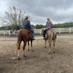 Home Away Ranch - Horseback riding!