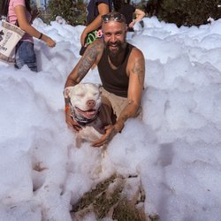 Bay Area Craft Beer Festival - My Service dog enjoying the Phone pit