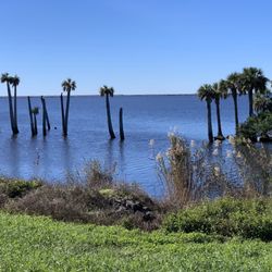 Stick Marsh Charters