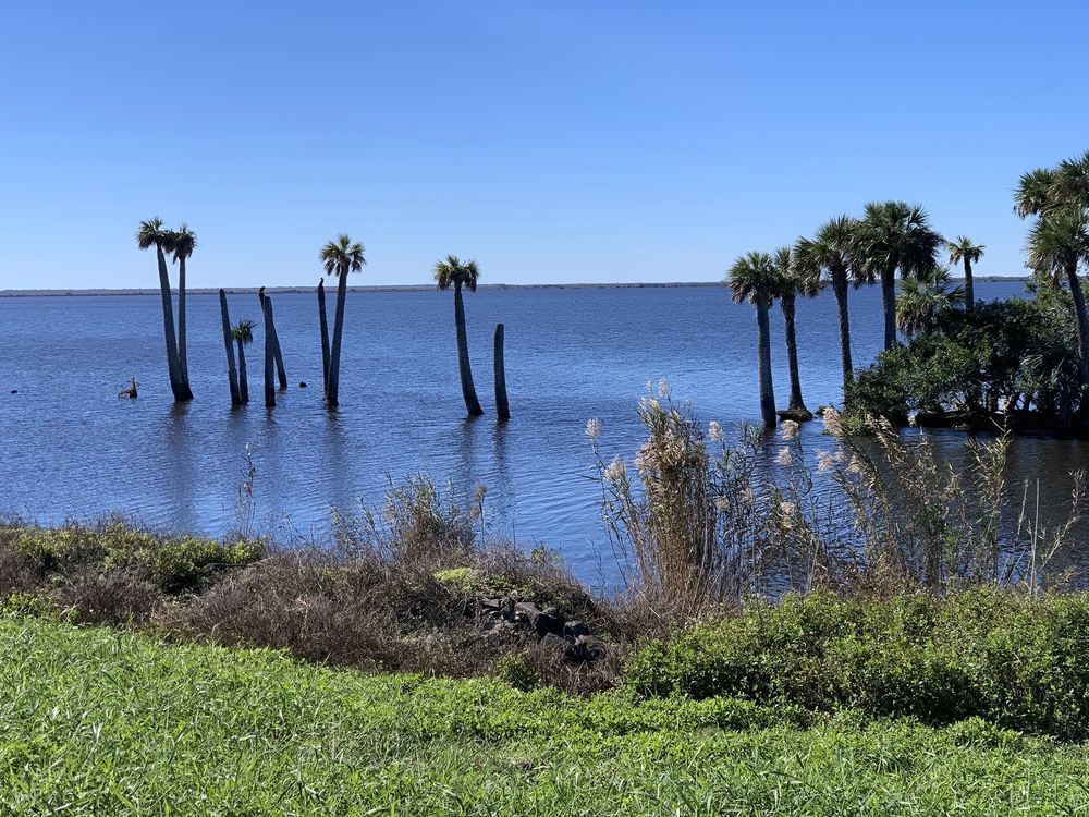 STICK MARSH CHARTERS Updated April 2024 12 Photos Fellsmere