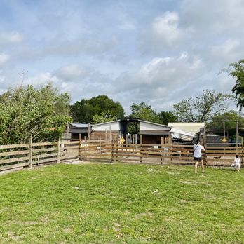 Wildflower Farm Orlando - Pigs and goats - Farms Near Me - Orlando, Florida