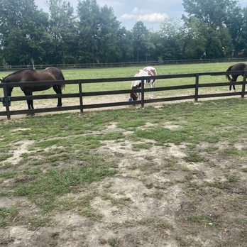 Sweet Valley Ranch - Ranches Near Me - Fayetteville, North Carolina