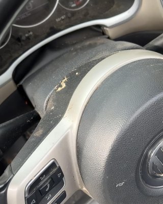 Full transformation on this Volkswagen Beetle! - Customer called me and said that she has 2 huskies and desperately needed a detail. I came the following day and took care of her vehicle! These are the results! Full transformation on this Volkswagen Beetle! - Customer called me and said that she has 2 huskies and desperately needed a detail. I came the following day and took care of her vehicle! These are the results!