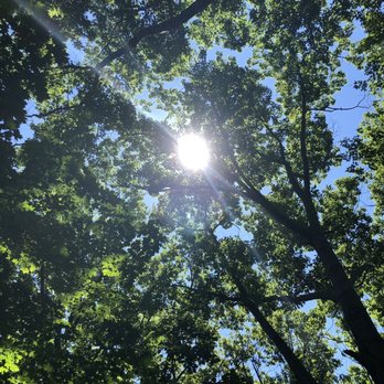 Lake Erie Canopy Tours - Tours Near Me - Geneva, Ohio Lake Erie Canopy Tours - Tours Near Me - Geneva, Ohio