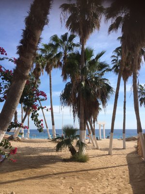 Chileno Bay Public Beach by null