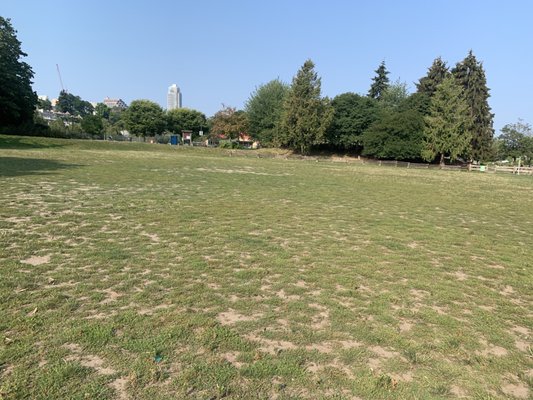 Charleson Park by null